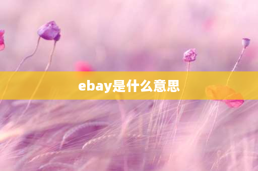 ebay是什么意思 跨境电商的英文名称是？