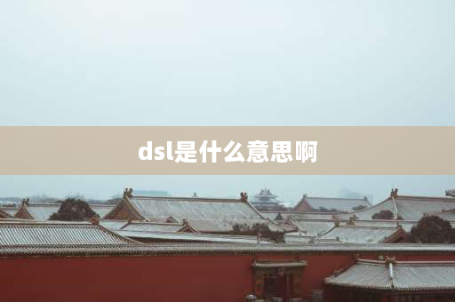 dsl是什么意思啊 雅阁dsl档的区别？