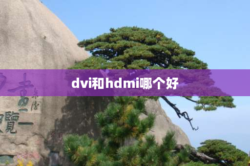 dvi和hdmi哪个好 DVI线和HDMI线哪个好？