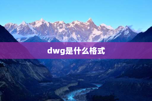 dwg是什么格式 DWG是什么格式？