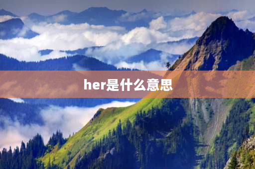 her是什么意思 her my i your哪个是不同类的含义？