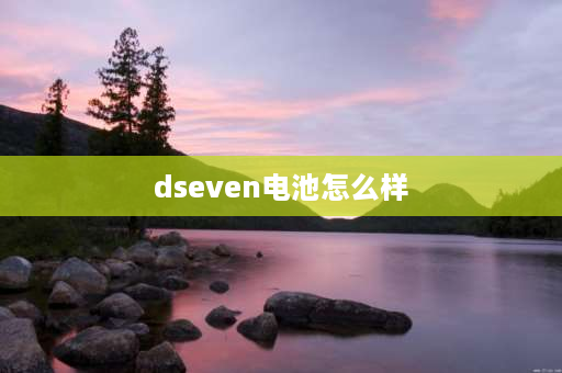 dseven电池怎么样 dakaer是什么品牌电池？