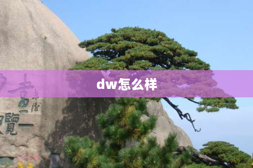 dw怎么样 惠普m232dw优缺点？