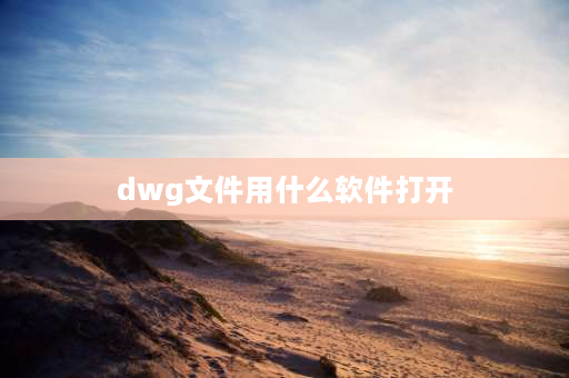 dwg文件用什么软件打开 dwl文件用什么软件打开？