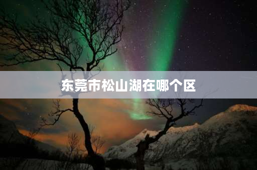 东莞市松山湖在哪个区 东莞市松山湖位于哪个镇？