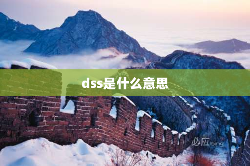 dss是什么意思 DSS是什么意思？