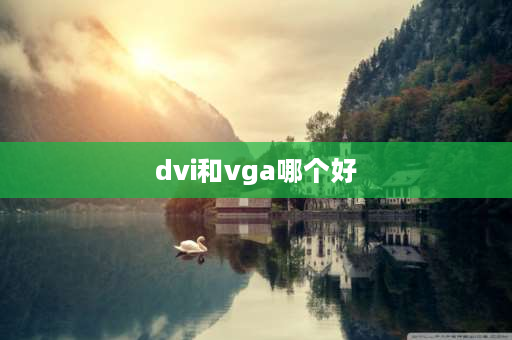 dvi和vga哪个好 dvi和vga哪一个好？