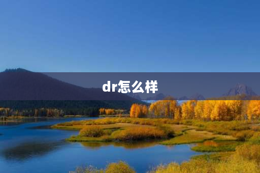 dr怎么样 drdeari胶原蛋白怎么样？