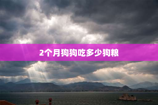 2个月狗狗吃多少狗粮 2个月柴犬，一天到底吃多少狗粮？