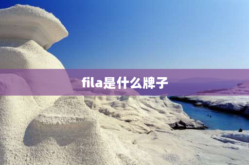 fila是什么牌子 FILA是个什么牌子，哪个国家的，出名不？