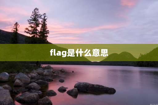 flag是什么意思 flag是什么东西？