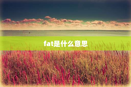 fat是什么意思 fat是什么中文意思？