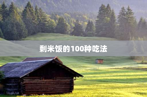 剩米饭的100种吃法 吃剩的大米饭怎么做好？