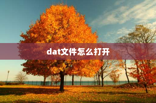 dat文件怎么打开 如何打开DAT格式的文件呢？