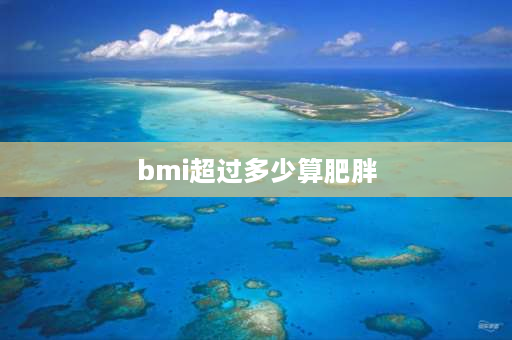 bmi超过多少算肥胖 bmi评分标准是什么？