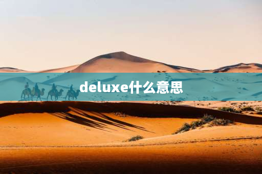 deluxe什么意思 华硕主板后面的字母是什么意思？