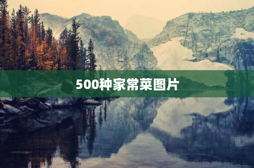 500种家常菜图片 补铁最好的4种家常菜？