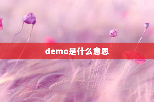 demo是什么意思 DEMO是什么意思？