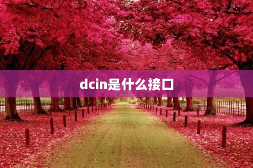 dcin是什么接口 dcin接口怎么接？