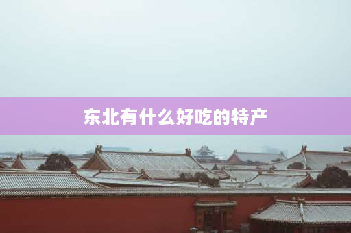 东北有什么好吃的特产 东北四大特产顺口溜？