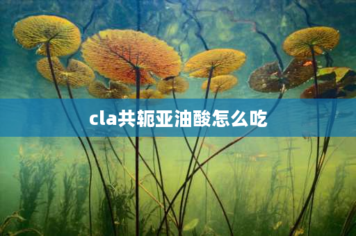 cla共轭亚油酸怎么吃 共轭亚油酸粉怎么吃？