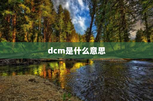 dcm是什么意思 plc中dcm什么意思？