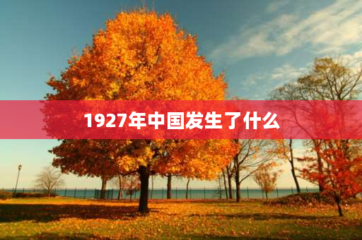 1927年中国发生了什么 1927年发动了什么事变？