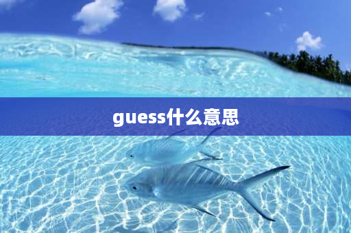 guess什么意思 guess是系动词吗？