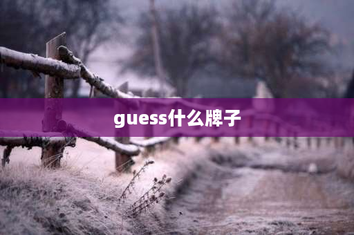 guess什么牌子 guess是什么品牌的衣服？