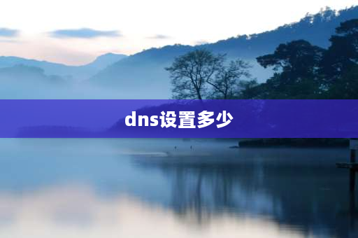 dns设置多少 dns如何设置参数？