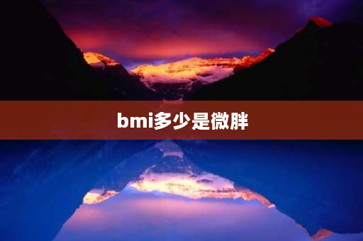 bmi多少是微胖 152,85斤算微胖吗？