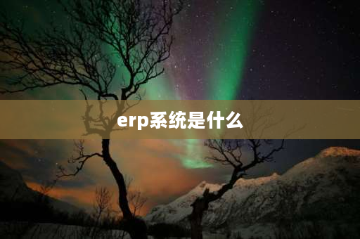 erp系统是什么 ERP系统，是什么意思啊？