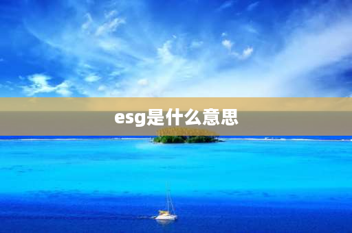 esg是什么意思 汽车esg是什么意思啊？