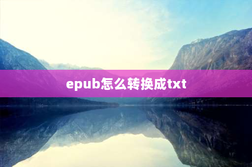 epub怎么转换成txt epub格式设置？