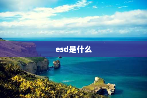 esd是什么 esd系统是什么意思？