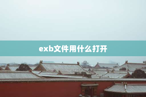 exb文件用什么打开 exb文件怎么转换成pdf？