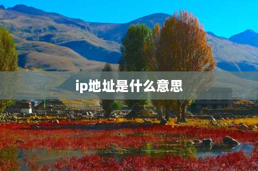 ip地址是什么意思 IP地址是什么意思？