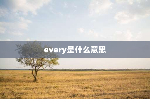 every是什么意思 every用法？