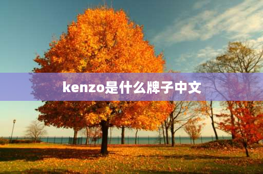 kenzo是什么牌子中文 kenzo是什么牌子？