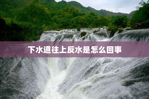 下水道往上反水是怎么回事 楼房排雨水管为什么反水？