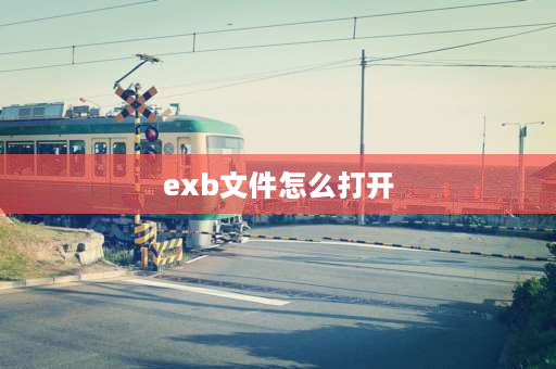 exb文件怎么打开 exb是什么文件格式？