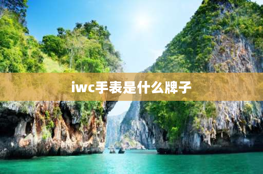 iwc手表是什么牌子 wc手表是哪国的？