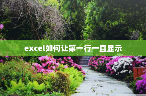 excel如何让第一行一直显示 excel怎么让一个长列在每一页都显示？