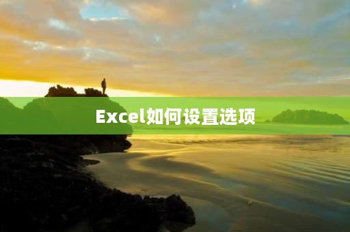 Excel如何设置选项 表格设置选项怎么设置的？