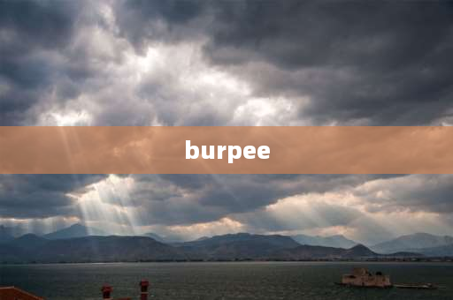 burpee 多少个 伏地挺身怎么做？有什么作用？