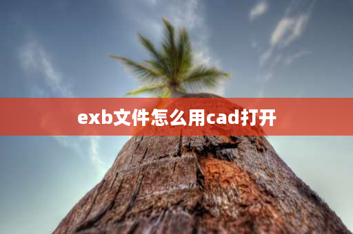 exb文件怎么用cad打开 exb是什么文件格式？