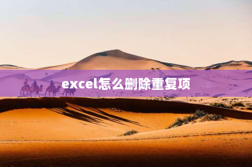 excel怎么删除重复项 excel怎么去掉重复数据？