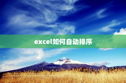 excel如何自动排序 excel如何把一样的数据自动排序？