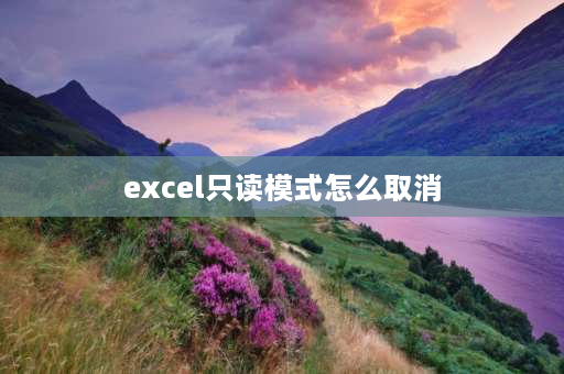 excel只读模式怎么取消 电子表格只读怎么取消？