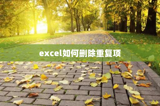 excel如何删除重复项 excel分类汇总怎么去掉相同项？